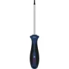 Šroubovák Torx TX15 × 100 mm TORX® Bosch Line